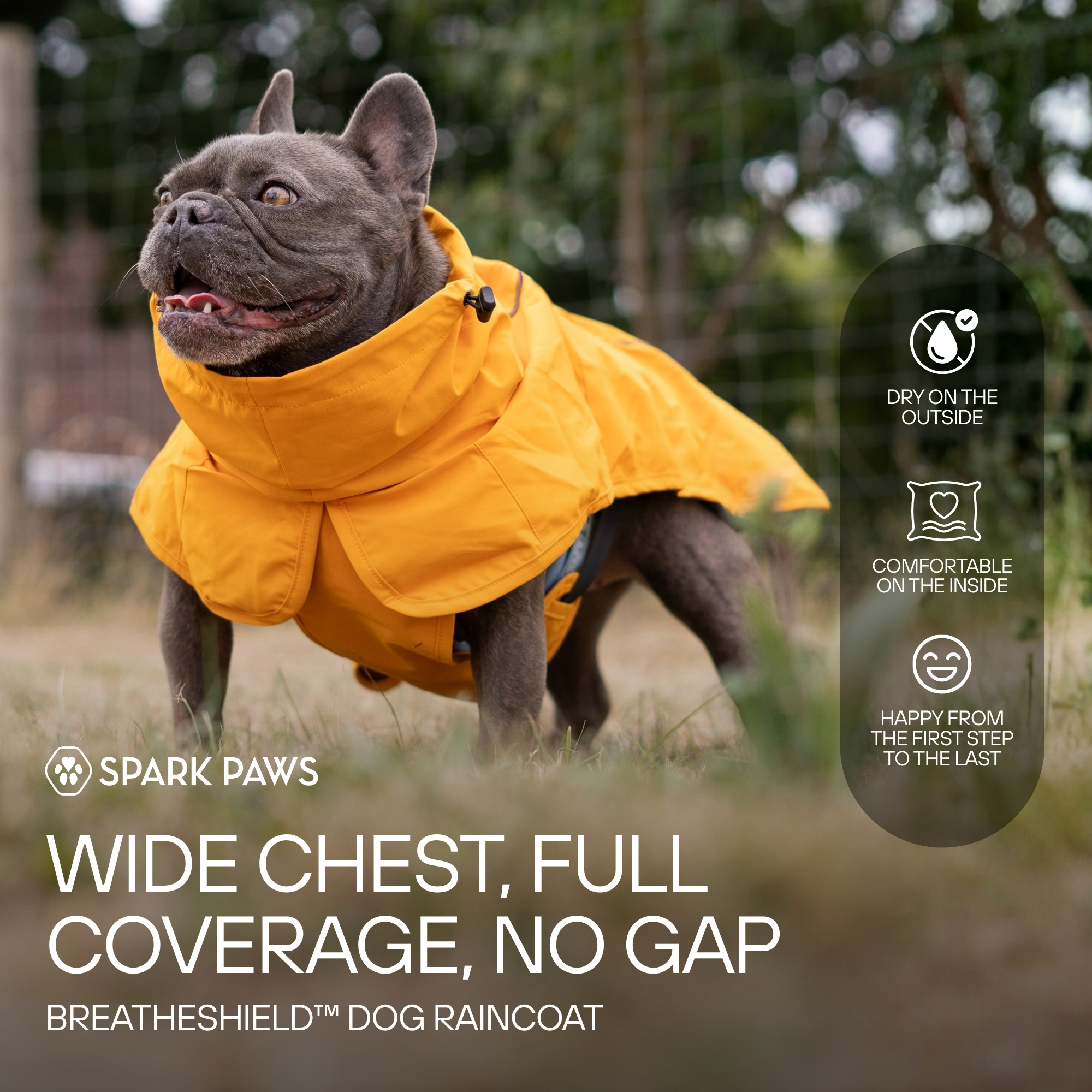 Spark Paws Facebook ad
