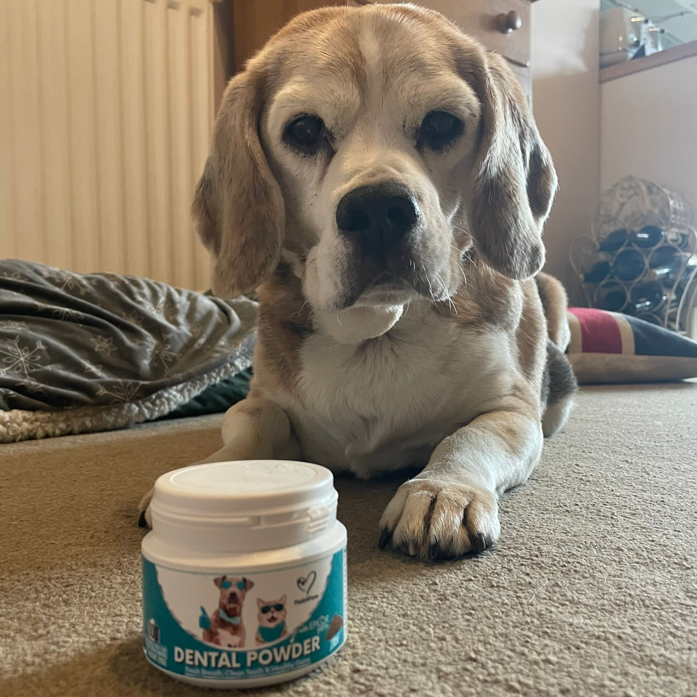 Nutri Paw Facebook ad