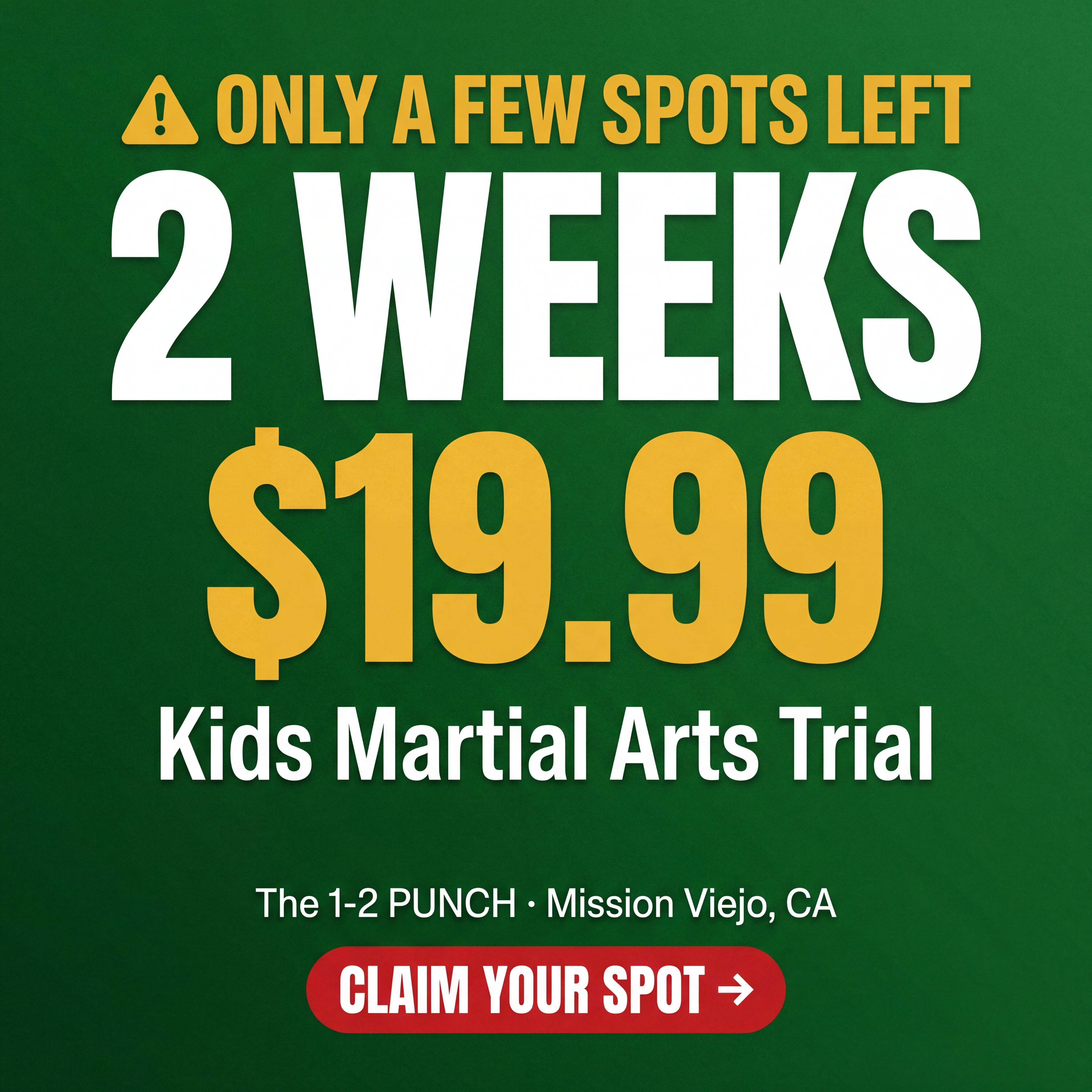 The 1-2 Punch Family Martial Arts & Fitness Center Facebook ad