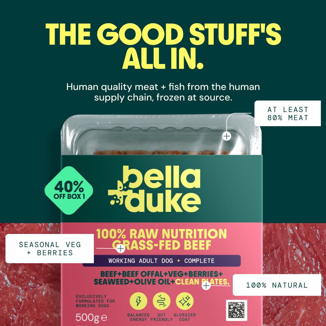 Bella+Duke Facebook ad