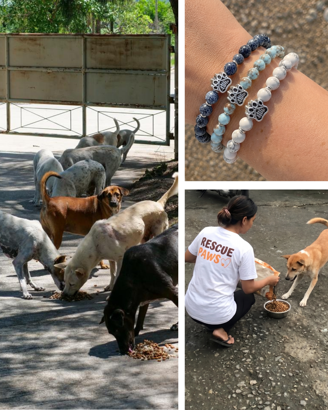 Rescue Paws Facebook ad