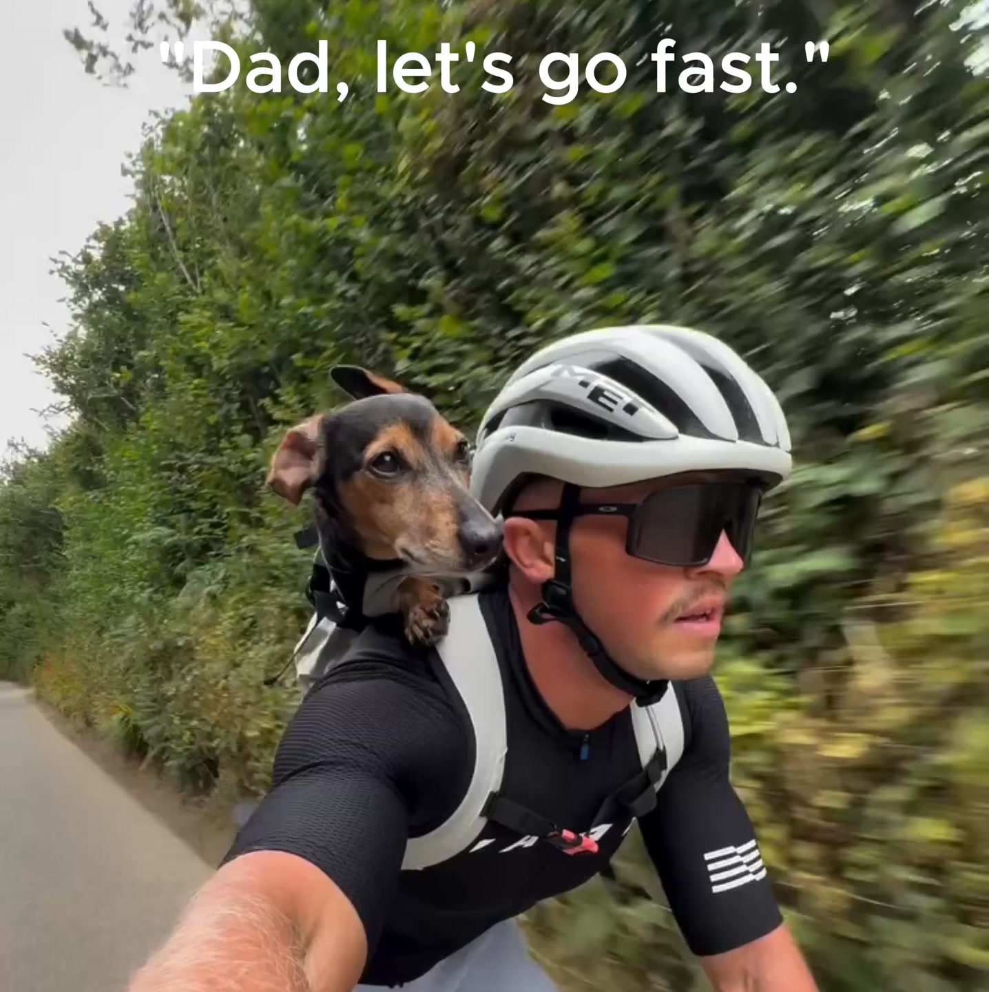 K9 Sport Sack Facebook ad: Ride with Your Best Friend!