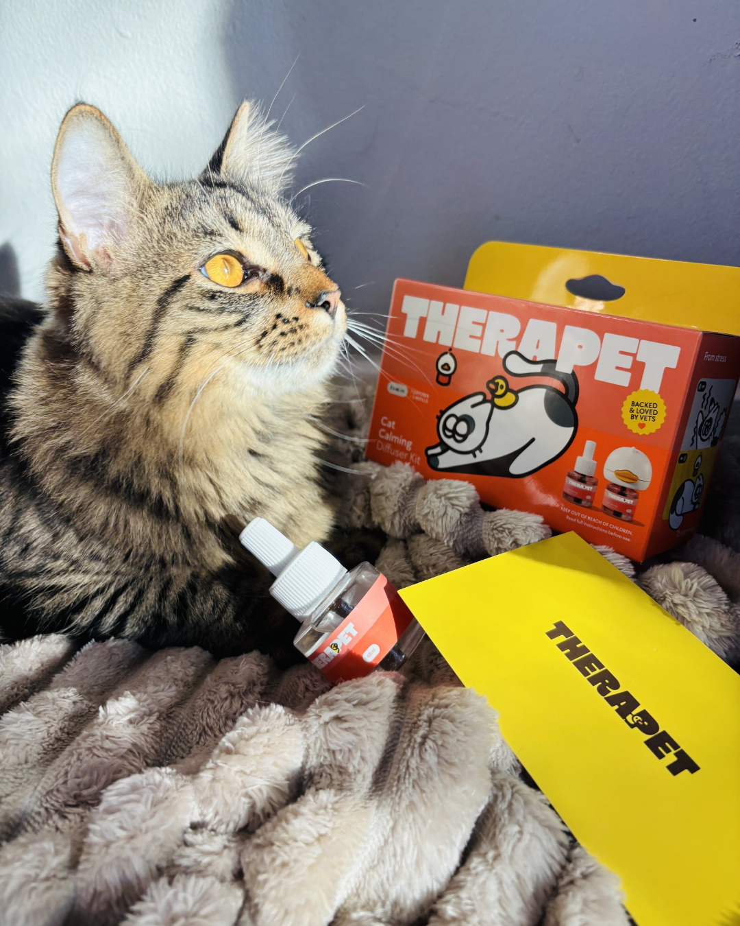 TheraPet Facebook ad