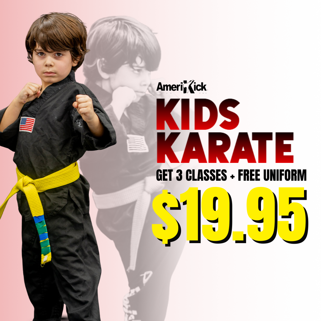 Amerikick Martial Arts Facebook ad