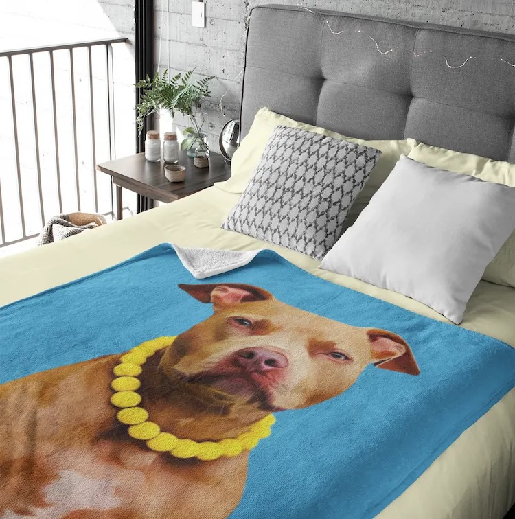 Petsies Facebook ad