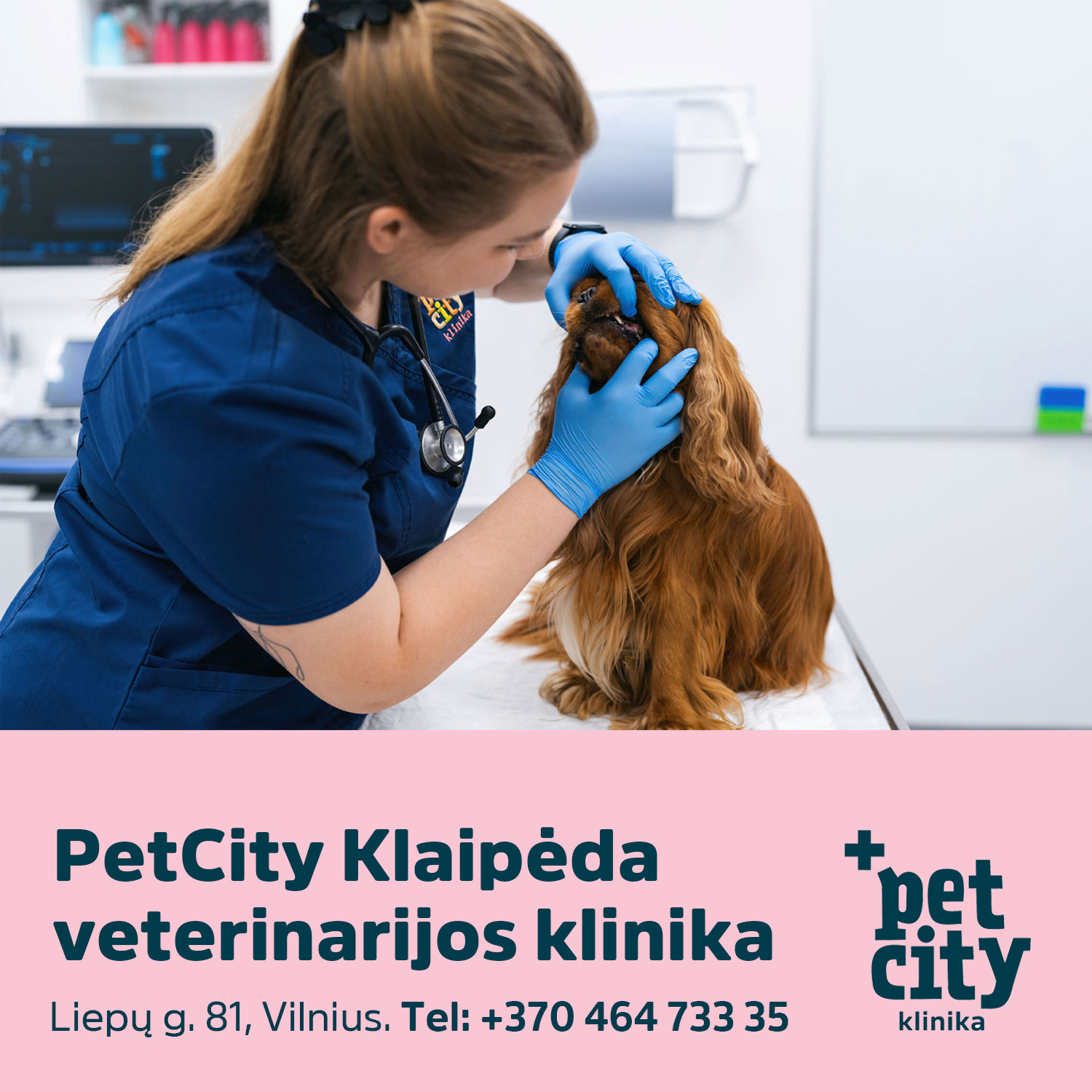 PetCity Lietuva Facebook ad
