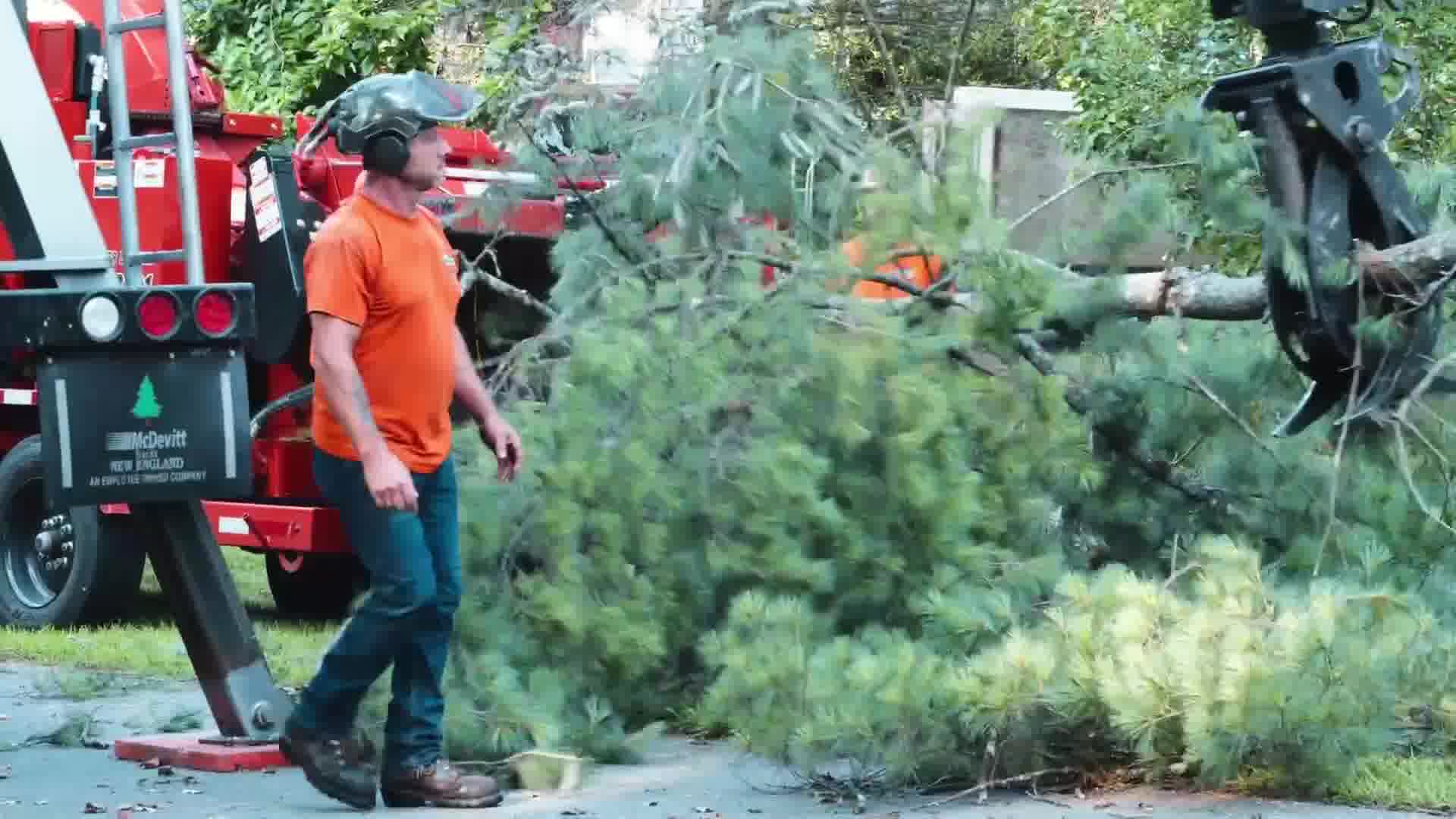Tree Service Lead Machine Facebook ad: The Original Tree Service Lead Machine