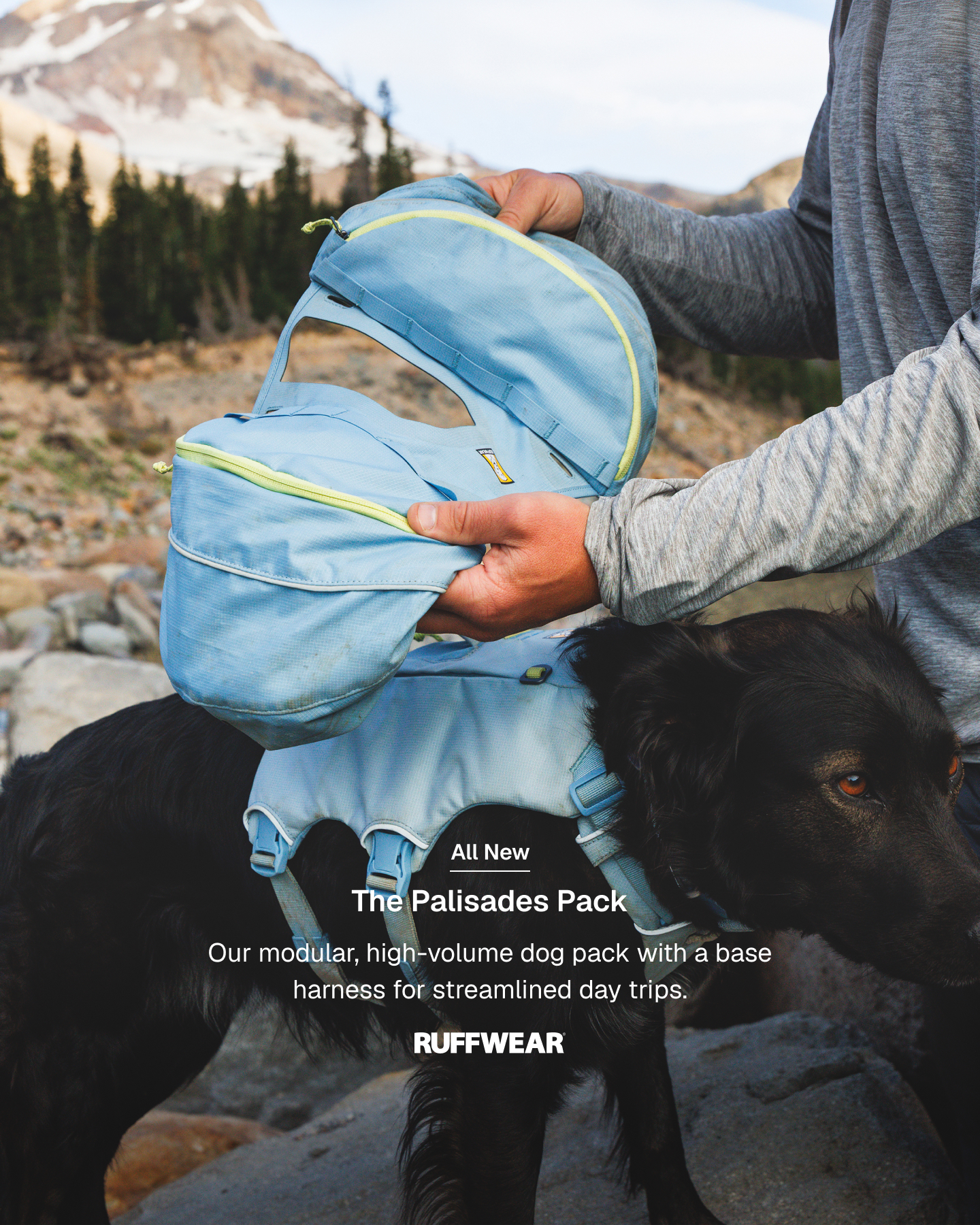 Ruffwear Facebook ad