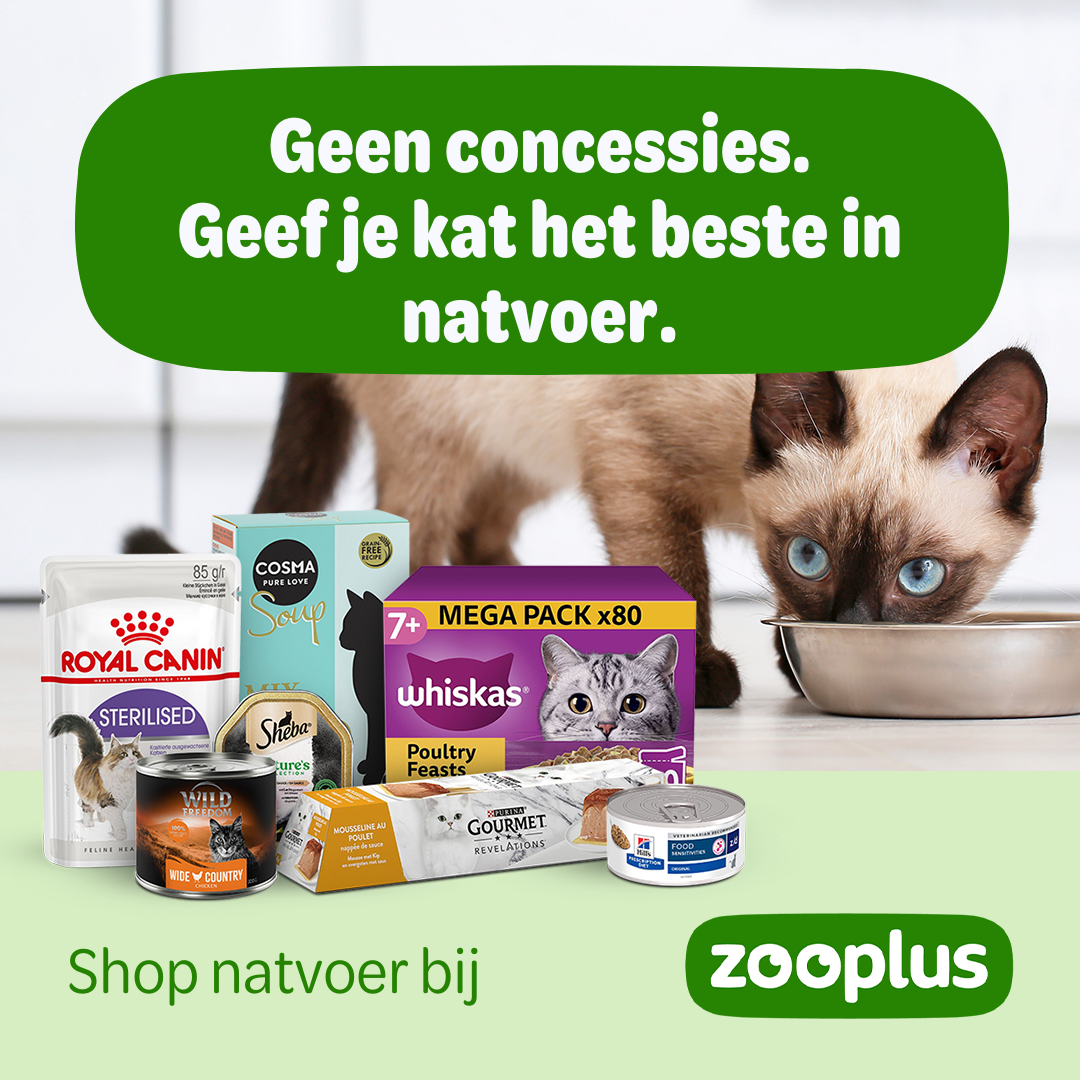 zooplus Facebook ad