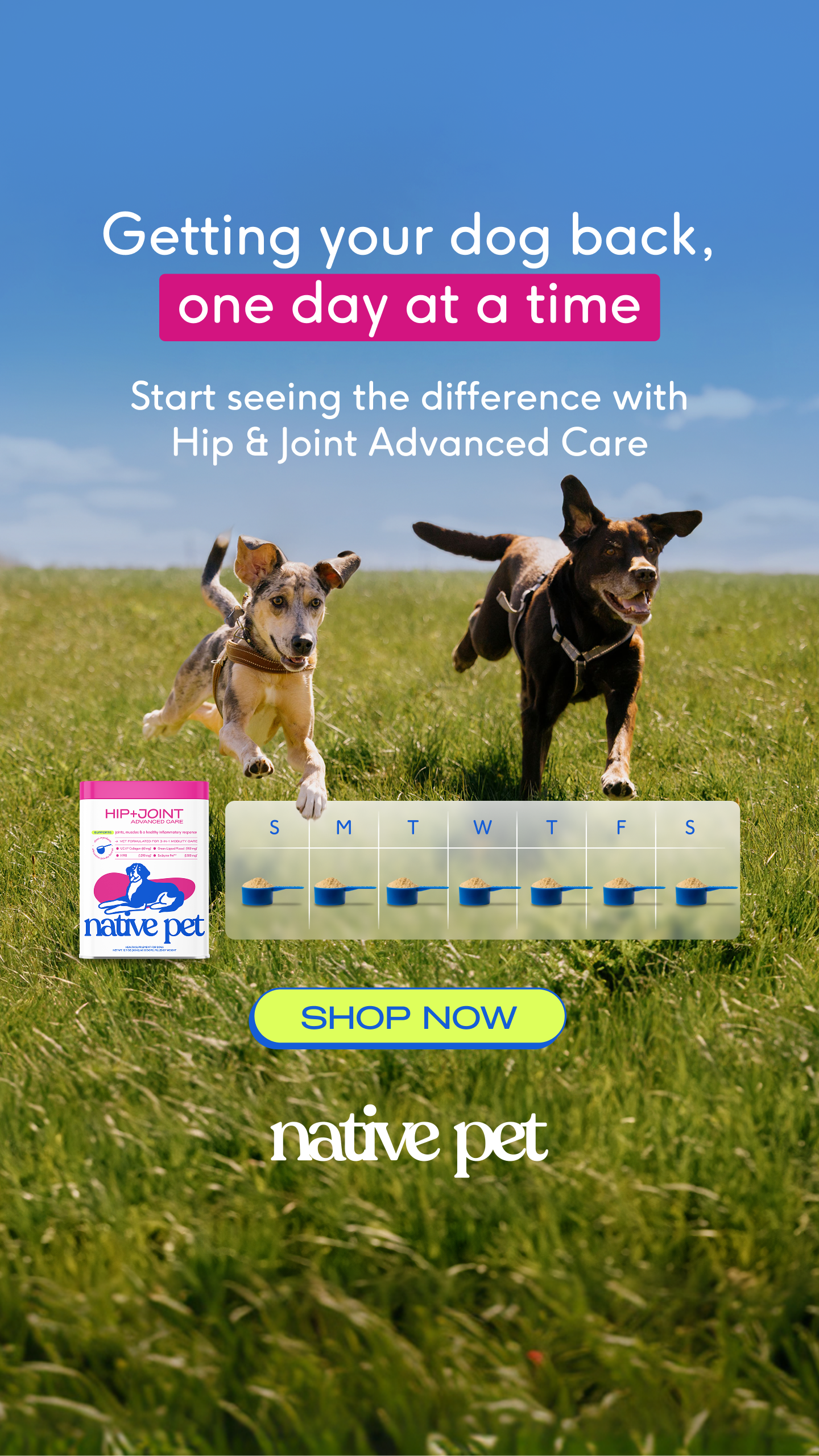 Native Pet Facebook ad