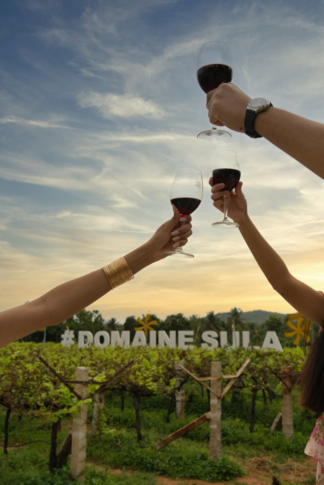 Sula Vineyards Facebook ad from Nov 20, 2025