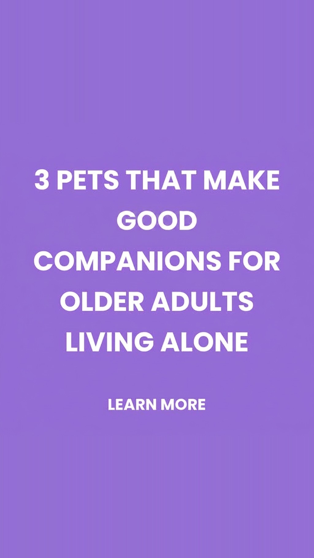 ModernReader Facebook ad: Pet Companions for Older Adults: 2026 Guide