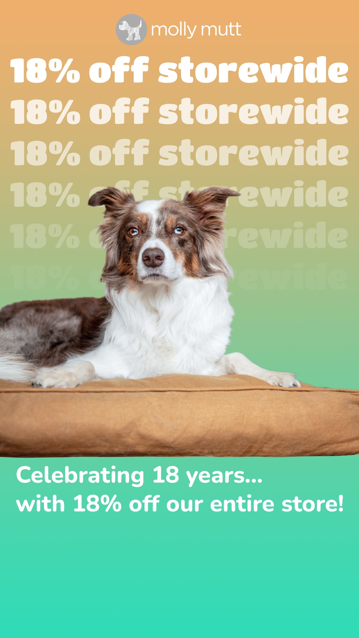 Molly Mutt Facebook ad