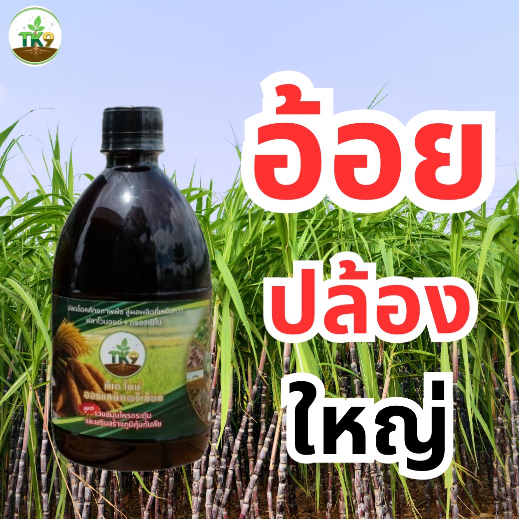 Tk9 ทีเคไนน์ ออร์แกนิคพรีเมียม นวัตกรรมสารสกัดจากธรรมชาติ เพื่อเกษตรกรไทย Facebook ad