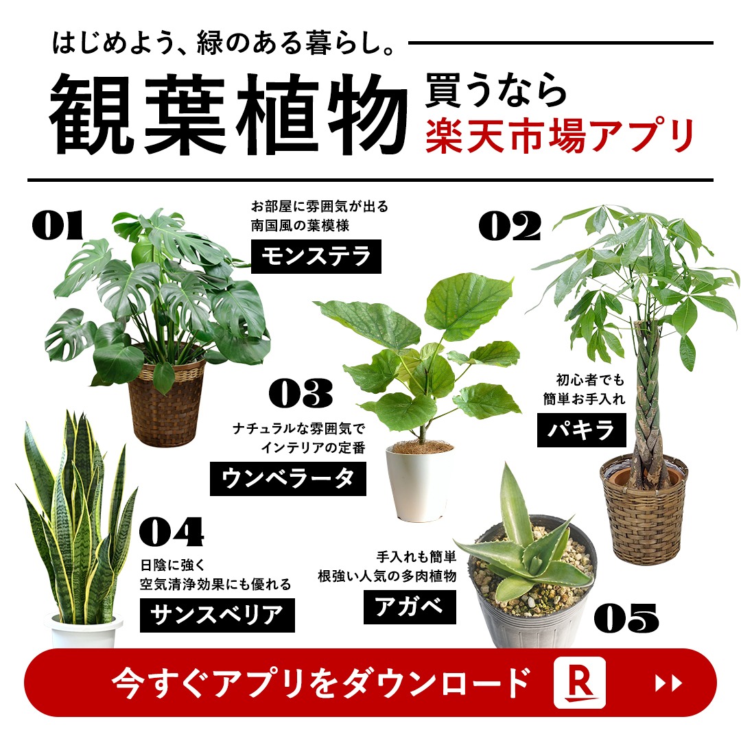 楽天市場 Facebook ad