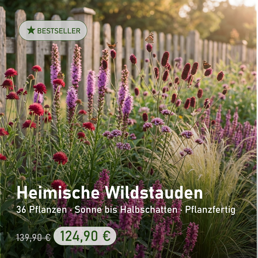 Luna's Leaf Co. Facebook ad: Fertig geplantes Staudenbeet, jetzt zum Einführungspreis.