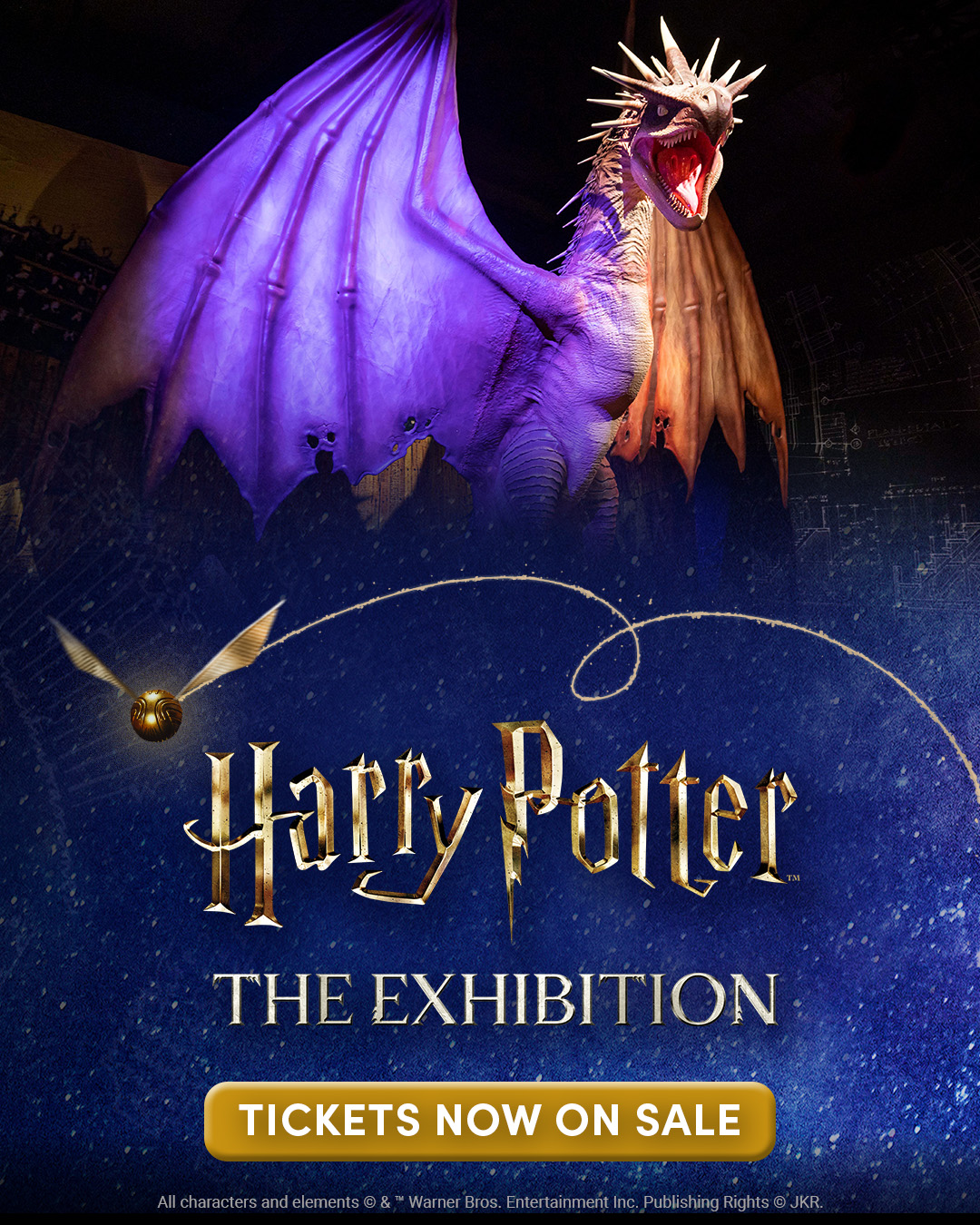 Harry Potter: The Exhibition Facebook ad