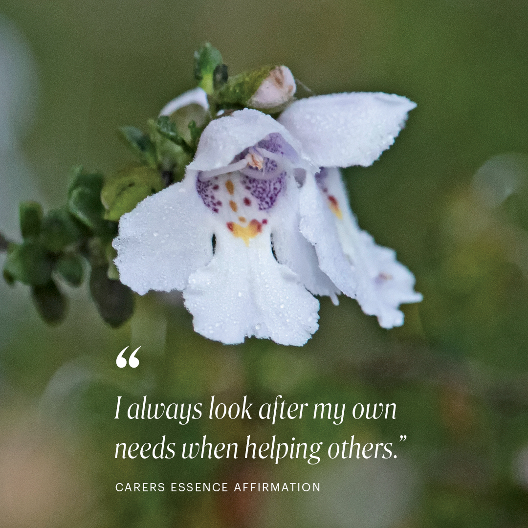 Australian Bush Flower Essences Facebook ad