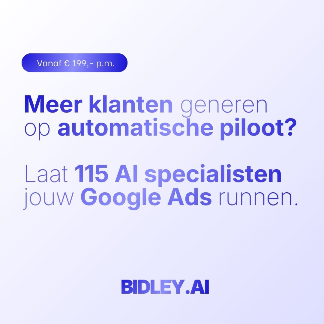 Bidley.ai - 24/7 AI Google Ads optimalisatie Facebook ad