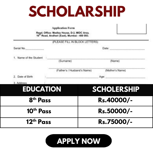 Wise World Facebook ad: Free Scholarships