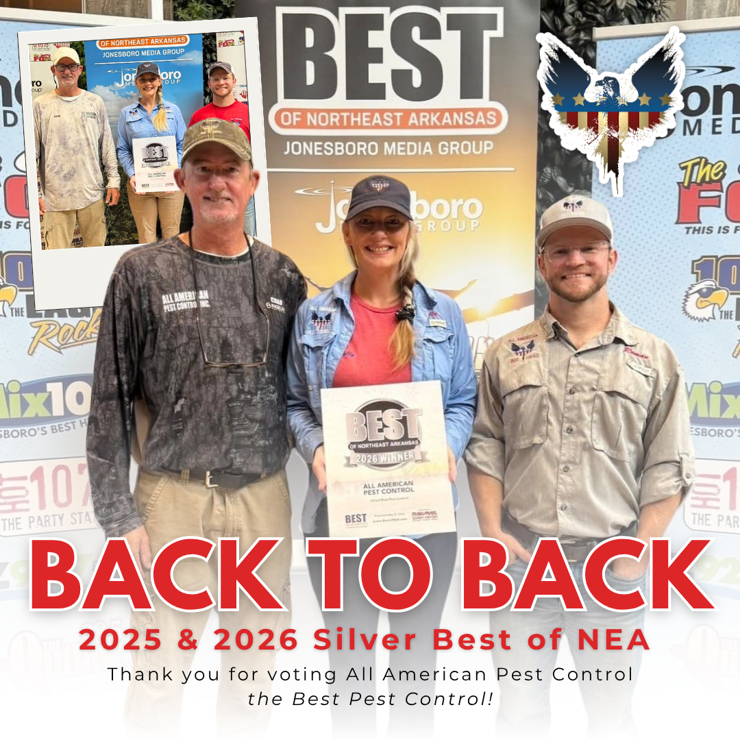 All American Pest Control Facebook ad: Silver in Best Pest Control for Northeast Arkansas…