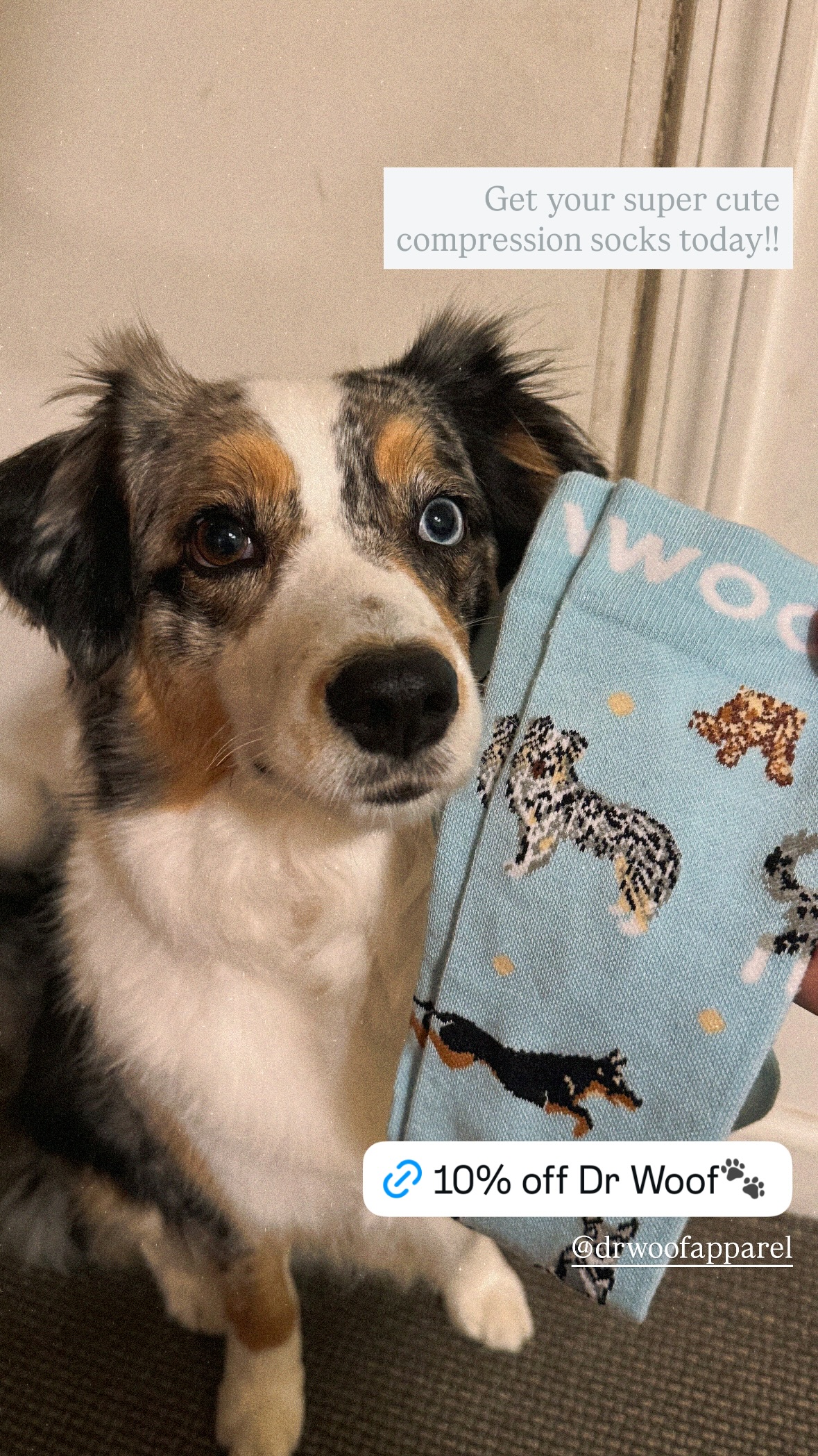 Dr. Woof Apparel Facebook ad