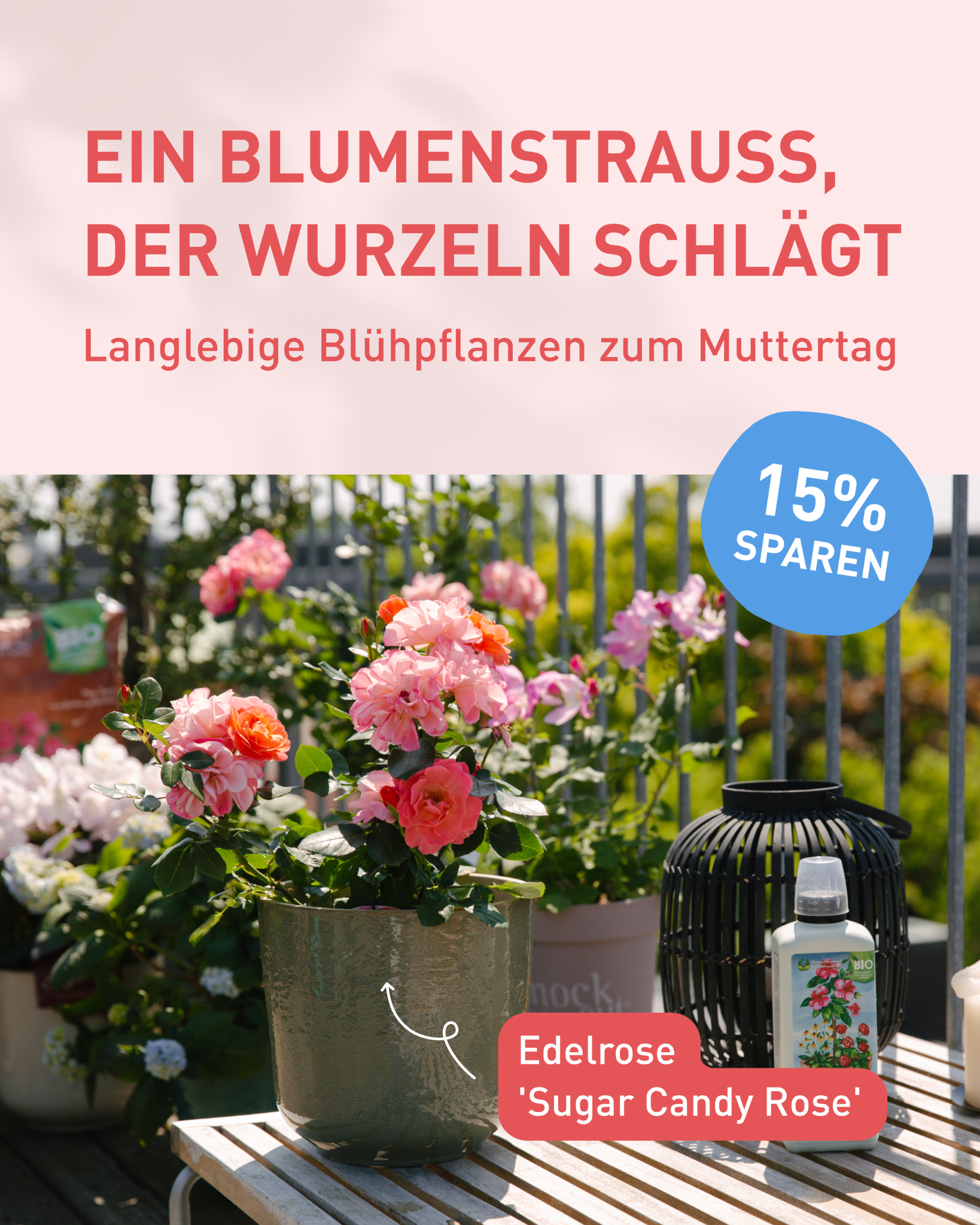 Plantura Facebook ad