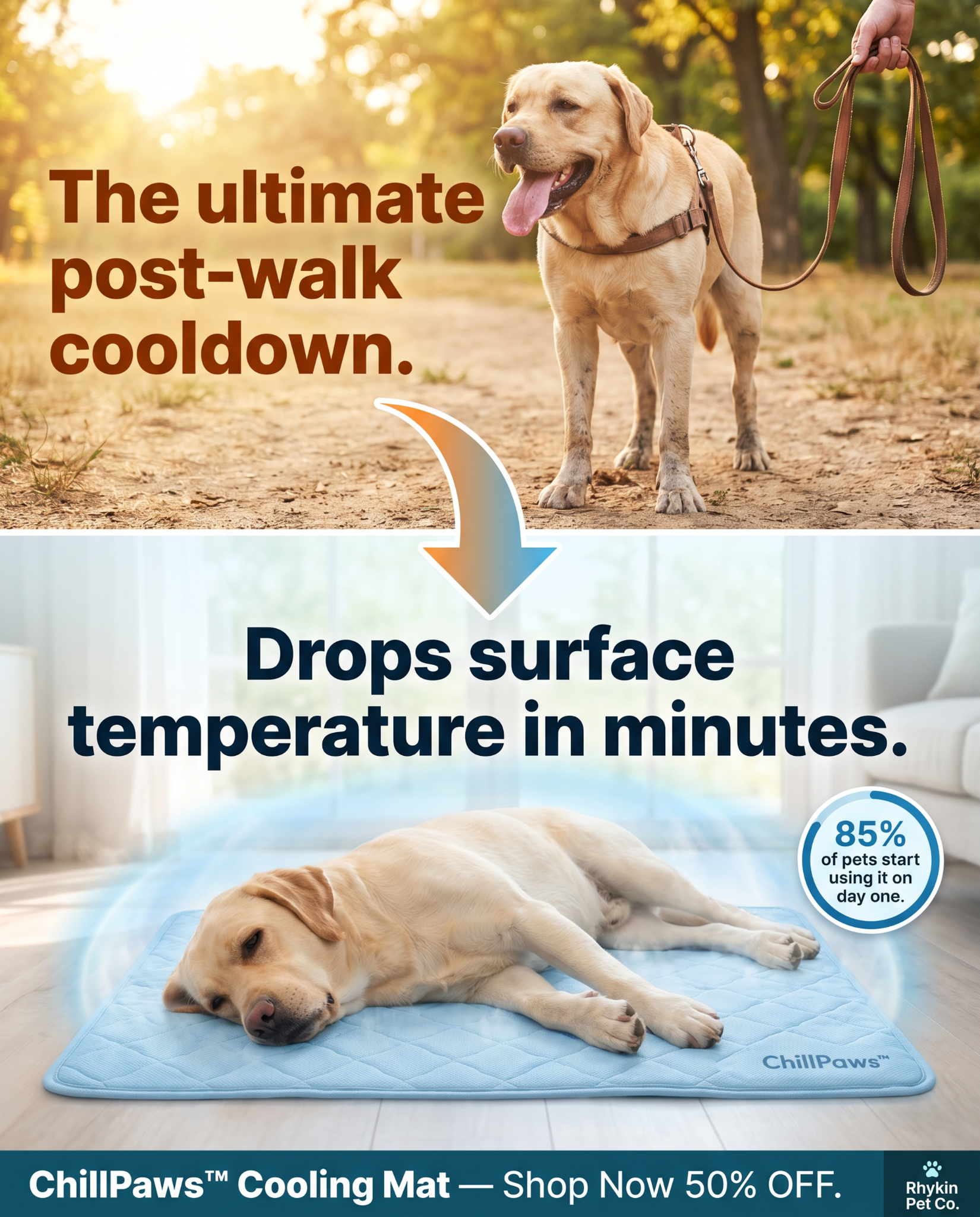 Rhykin Pet Co Facebook ad