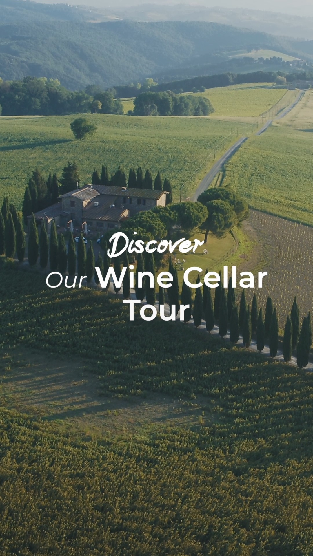 Fattoria LaTorre Facebook ad: Scopri il nostro Wine Cellar Tour.