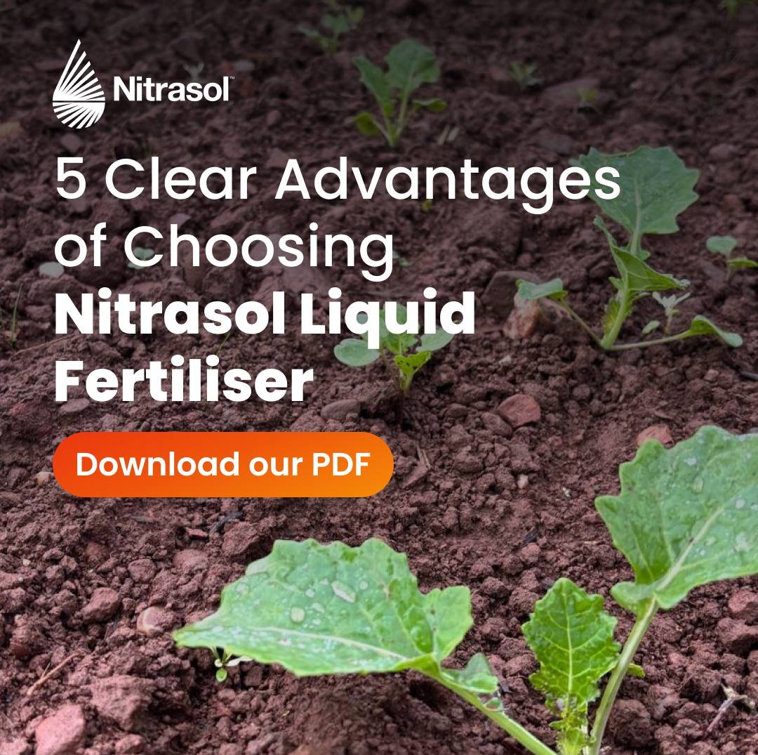Nitrasol Facebook ad: Download Our FREE PDF | Nitrasol Liquid Fertiliser
