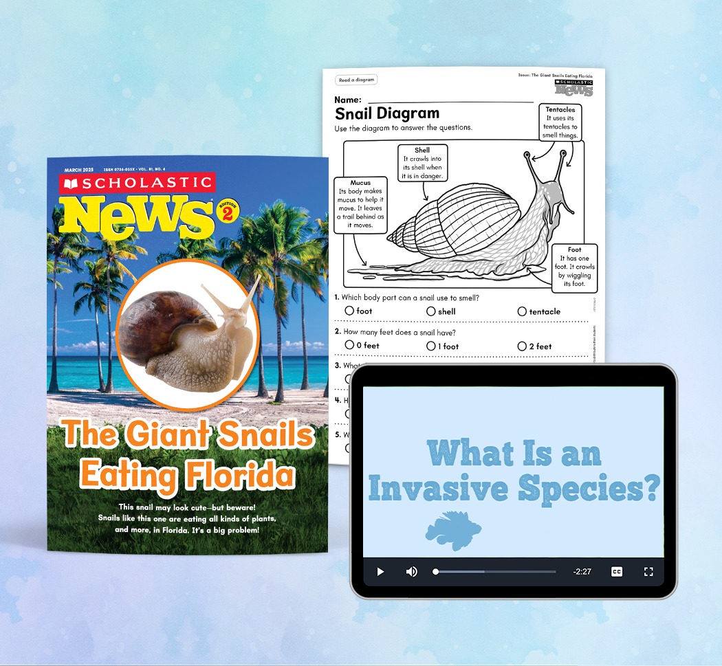 Scholastic Teachers Facebook ad