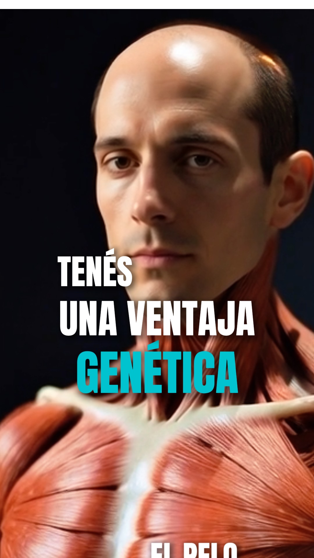 Implante Capilar Buenos Aires Facebook ad: Si estás perdiendo pelo, no todo está perdido