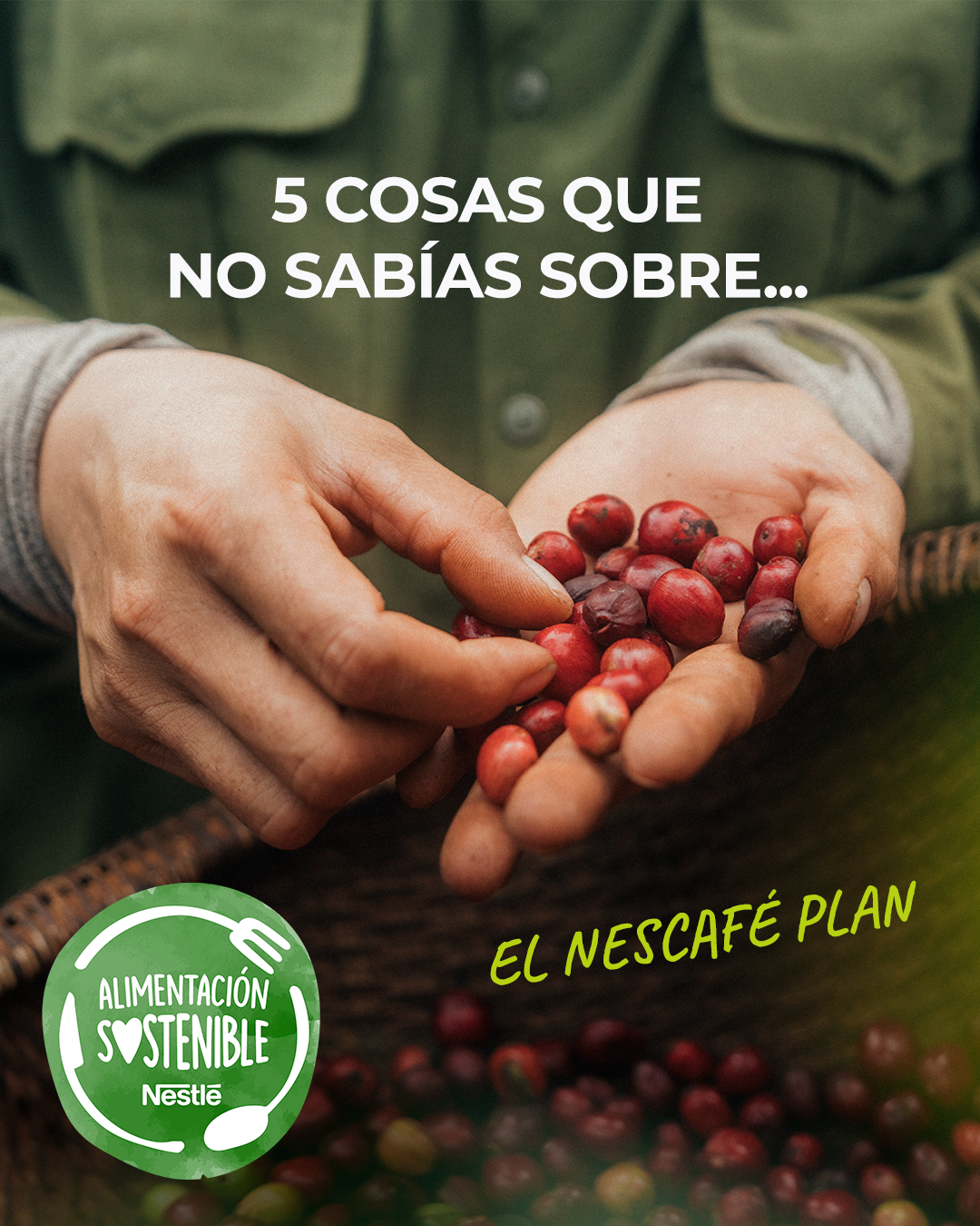 Nestlé Facebook ad: Nescafé Plan
