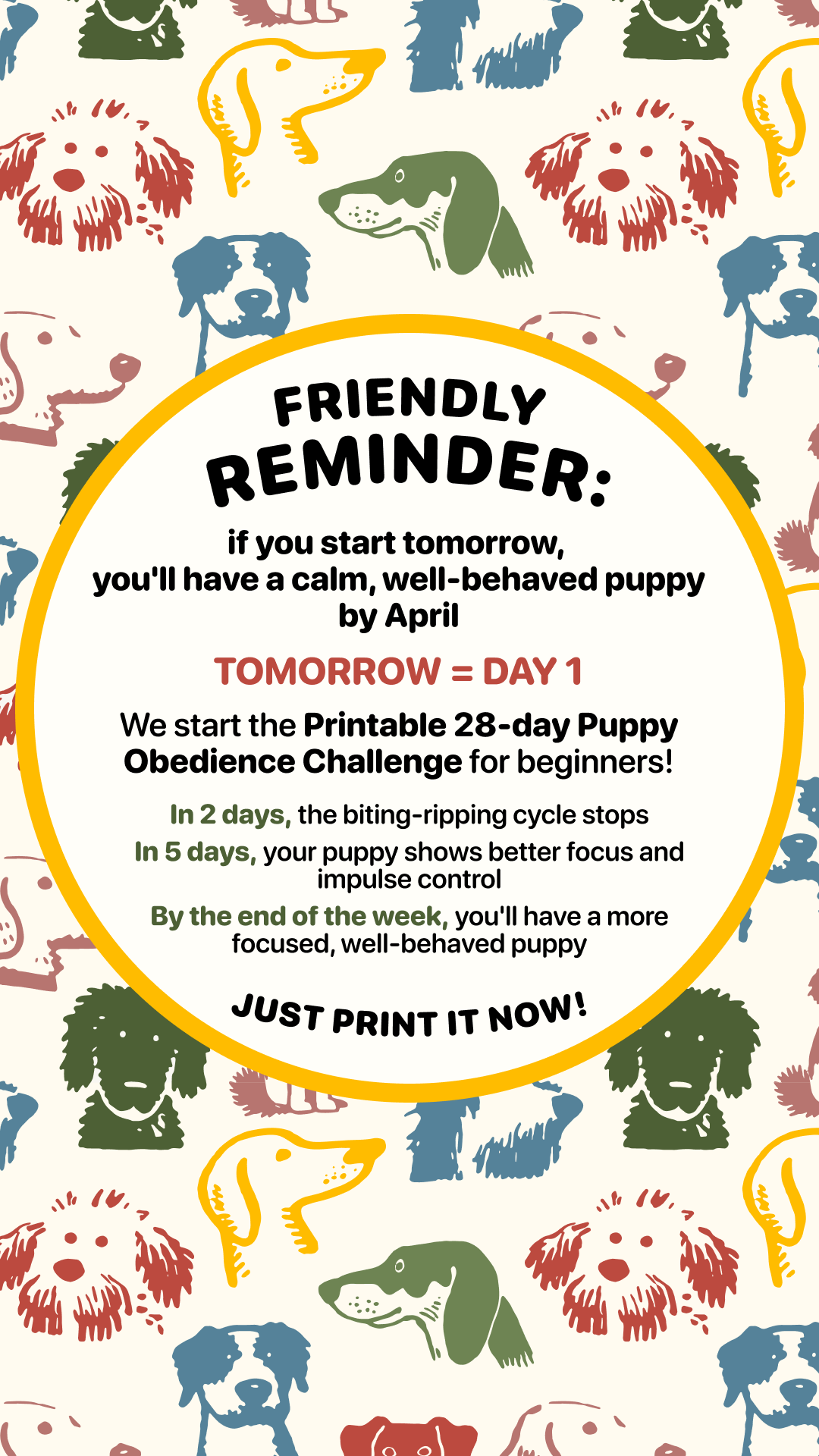 Dog Training & Tips Facebook ad
