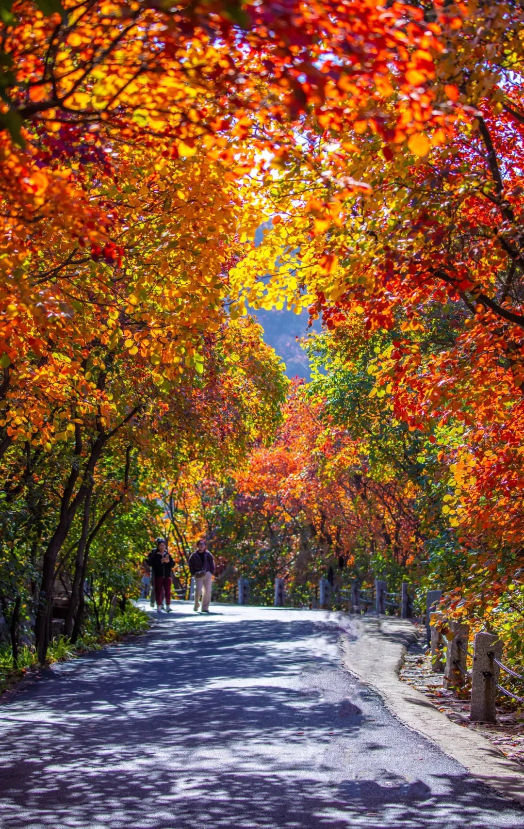 Beautiful Shandong Facebook ad