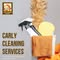 Carly Kleen Professional Cleaning Services