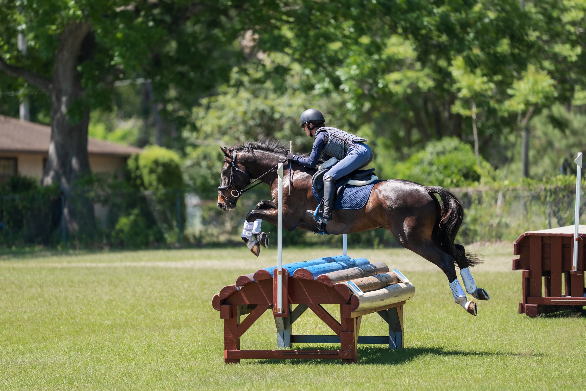 Adams Horse & Pet Supplies Facebook ad
