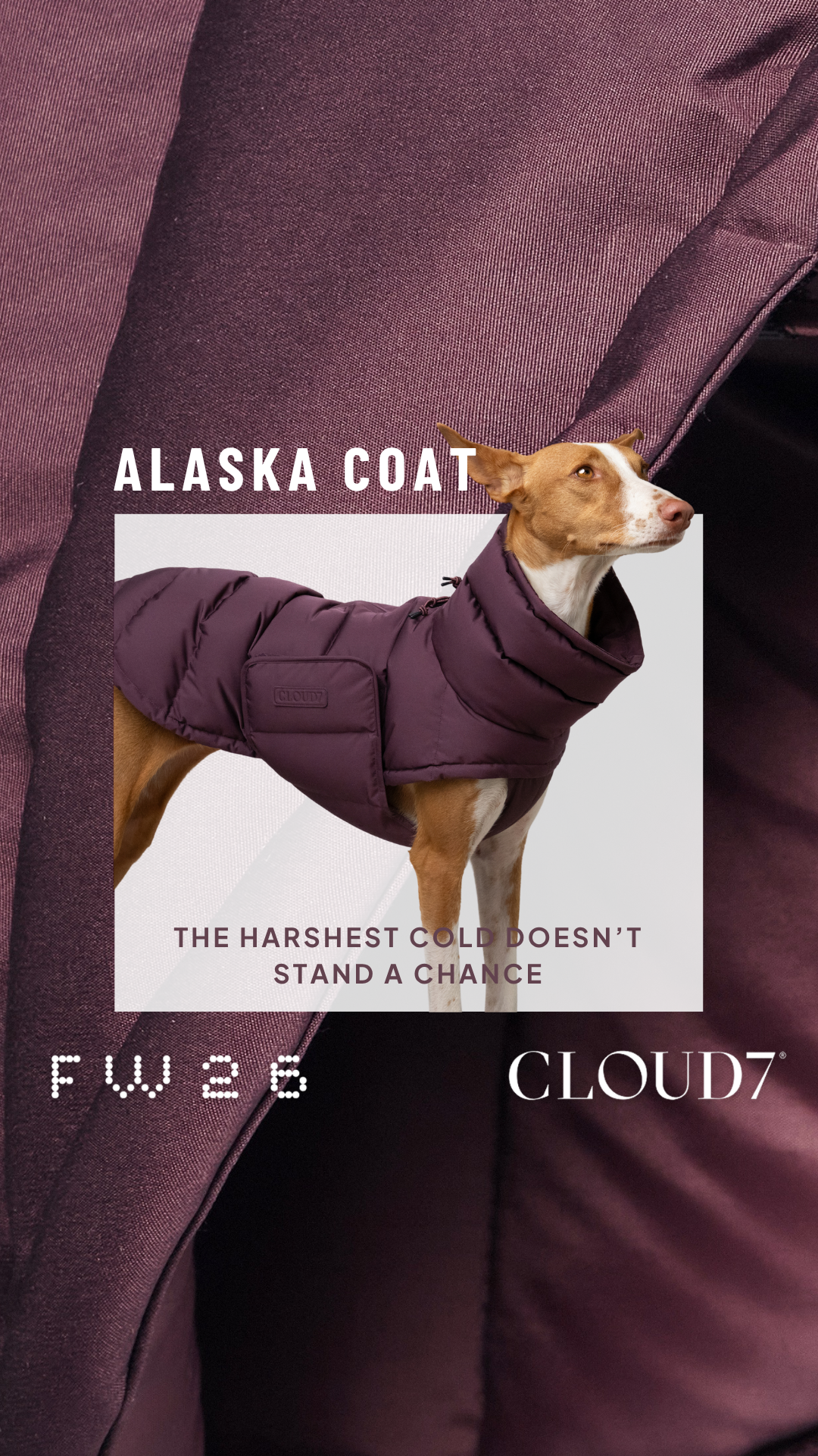 Cloud7 Facebook ad: Weather worth walking through