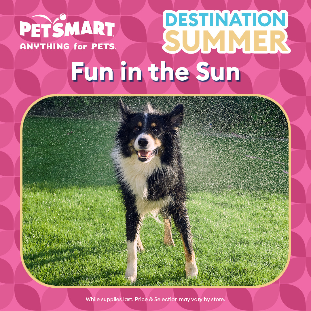 PetSmart Facebook ad