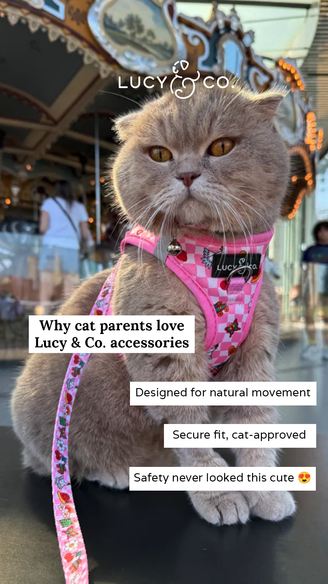 Lucy & Co. Facebook ad