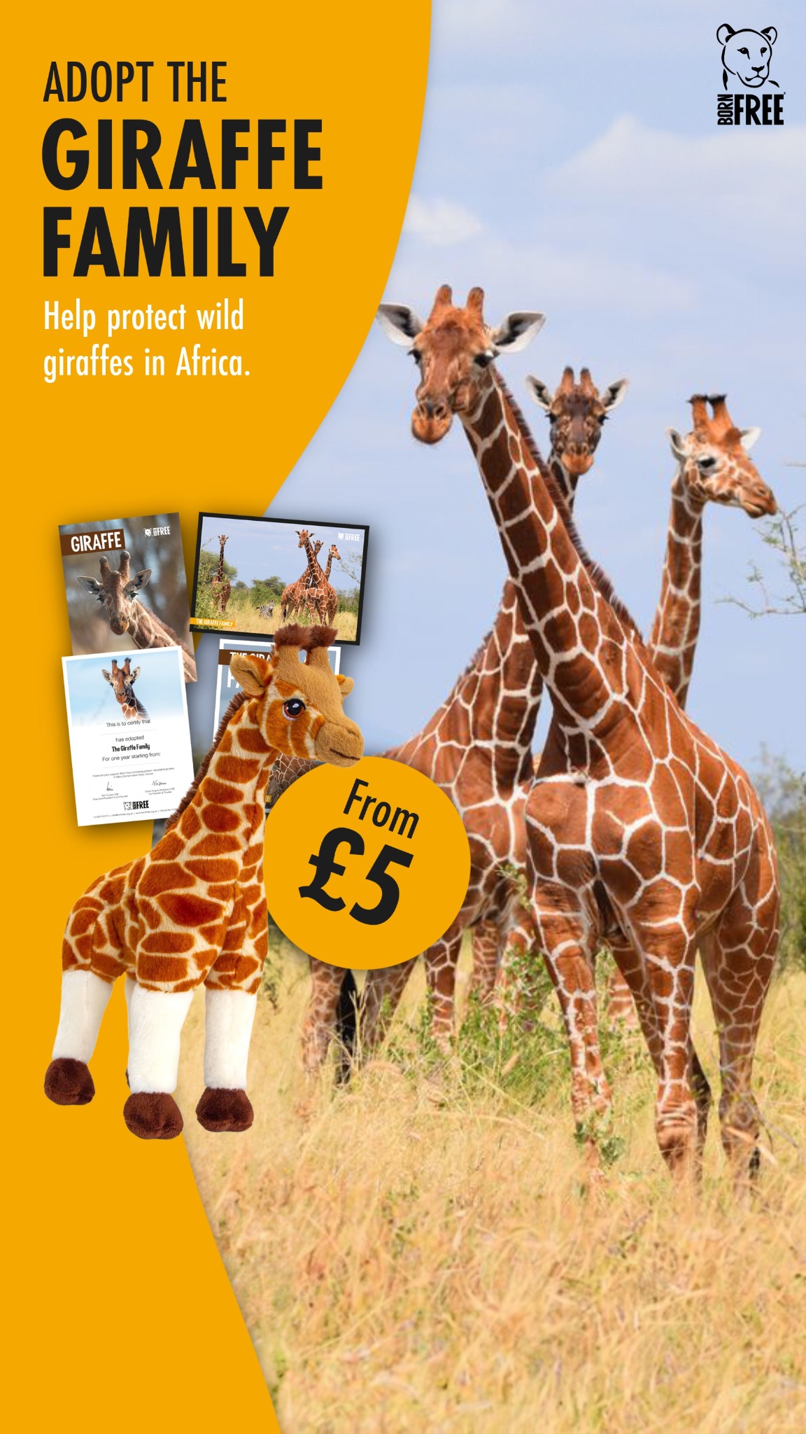 Born Free Foundation Facebook ad from Jan 22, 2026