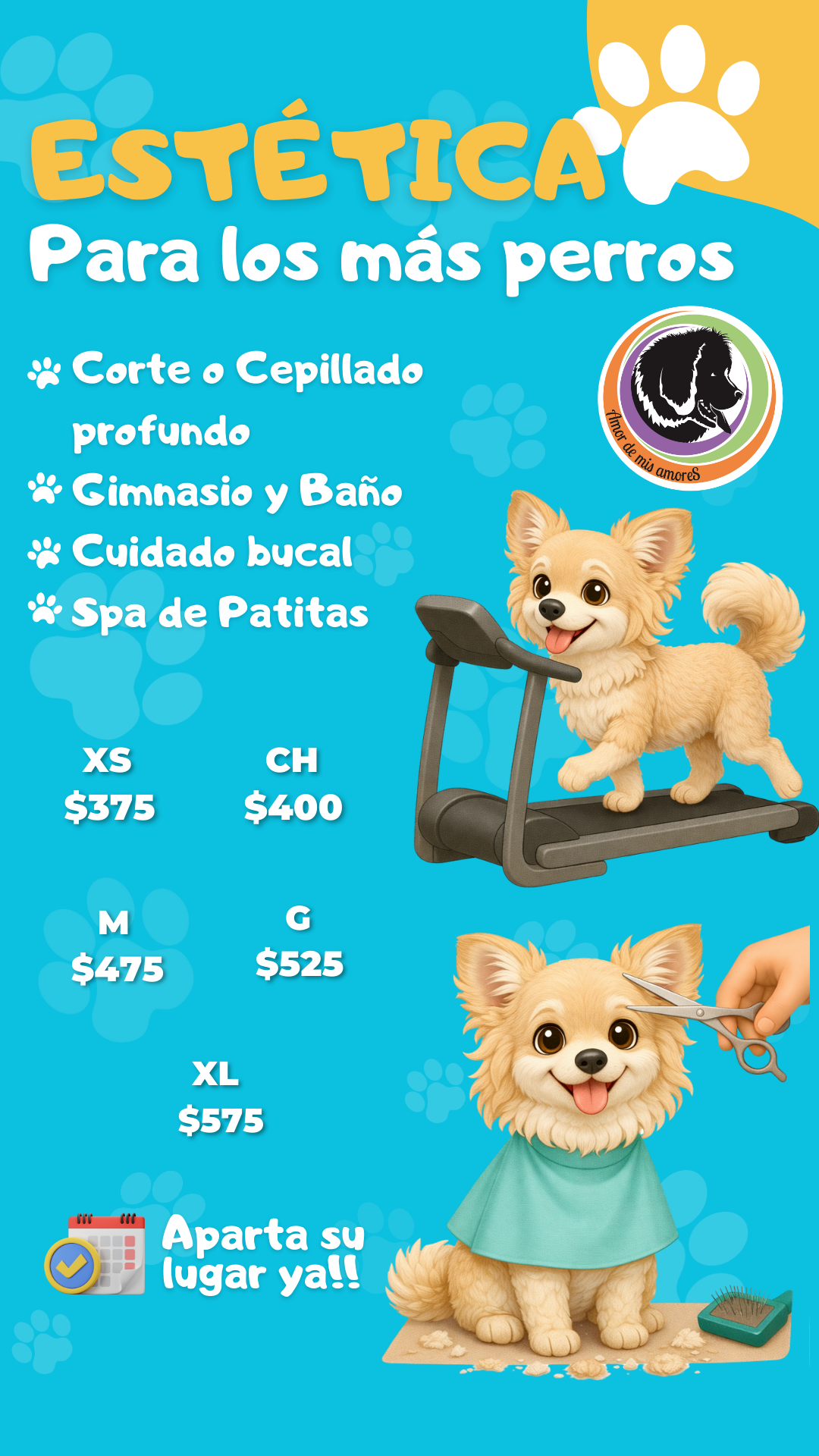 Amor de mis Amores Facebook ad from Feb 4, 2026