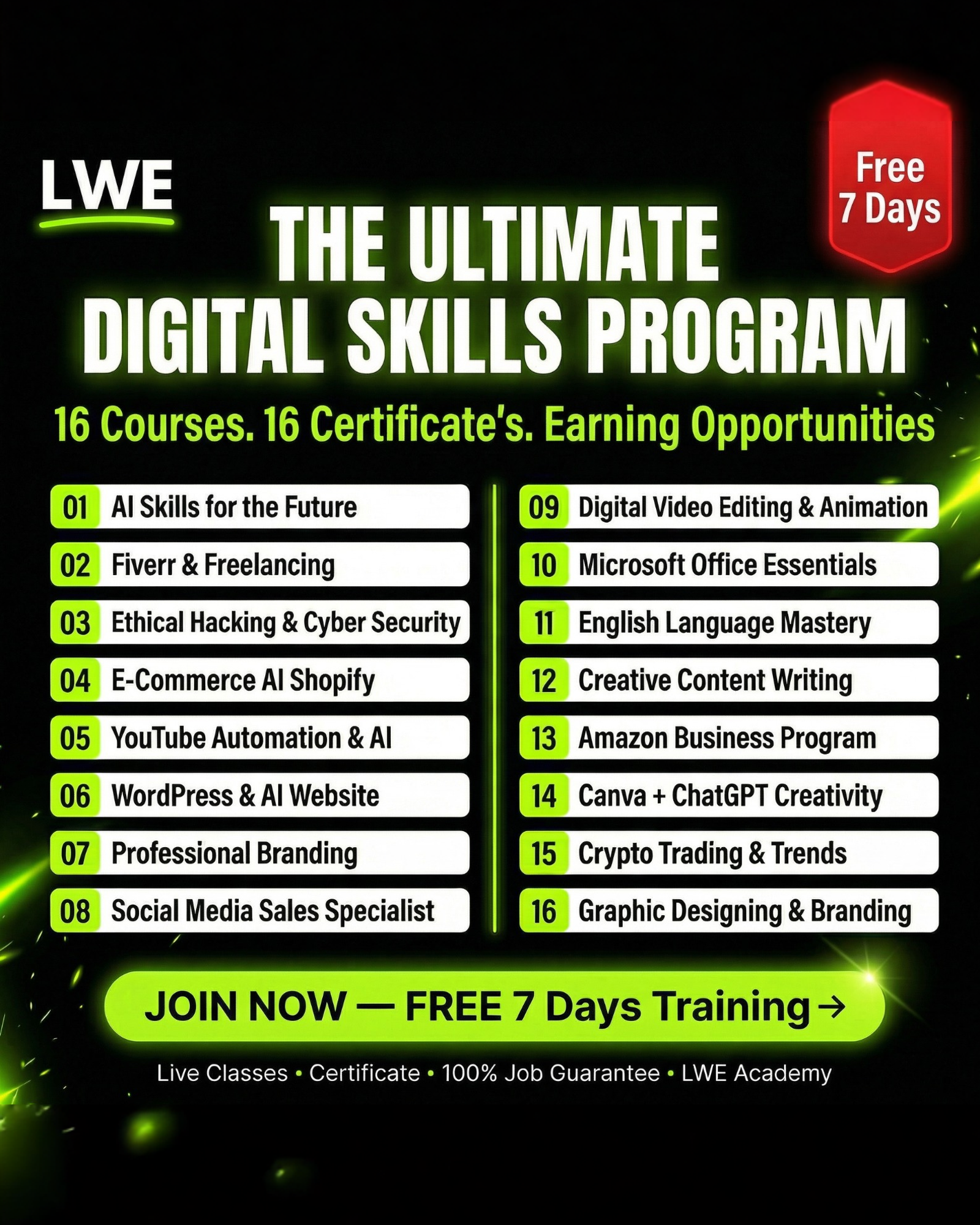 LWE Digital Skills University Facebook ad