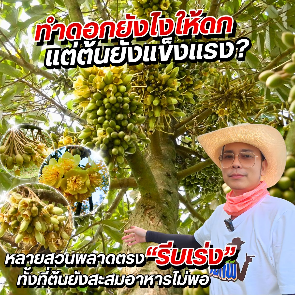 เกษตรขั้นเทพ v.3 Facebook ad: 90% ของสวนที่ดอกร่วง ผลไม่โต