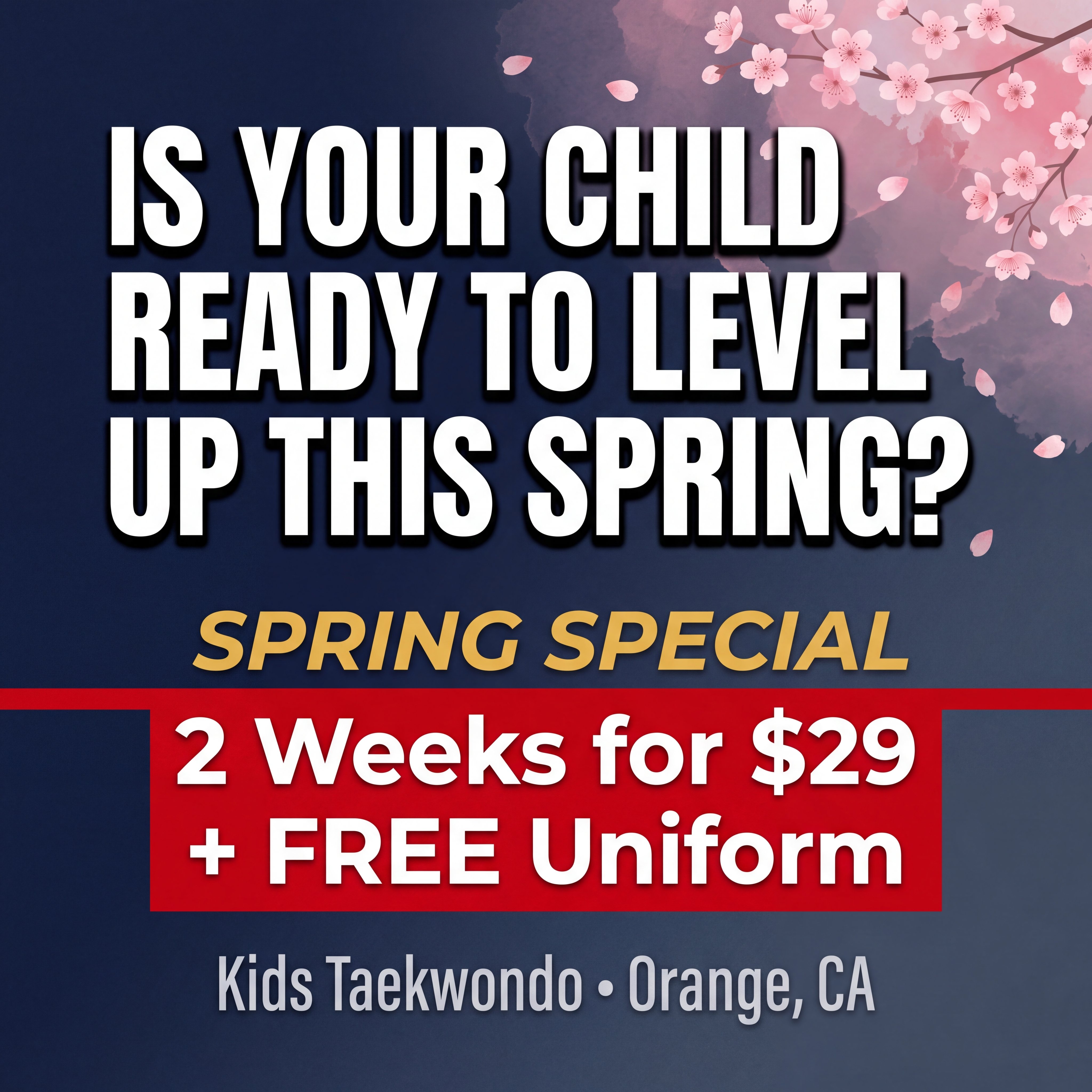 Orange Martial Arts - Tom Vo's Taekwondo Facebook ad
