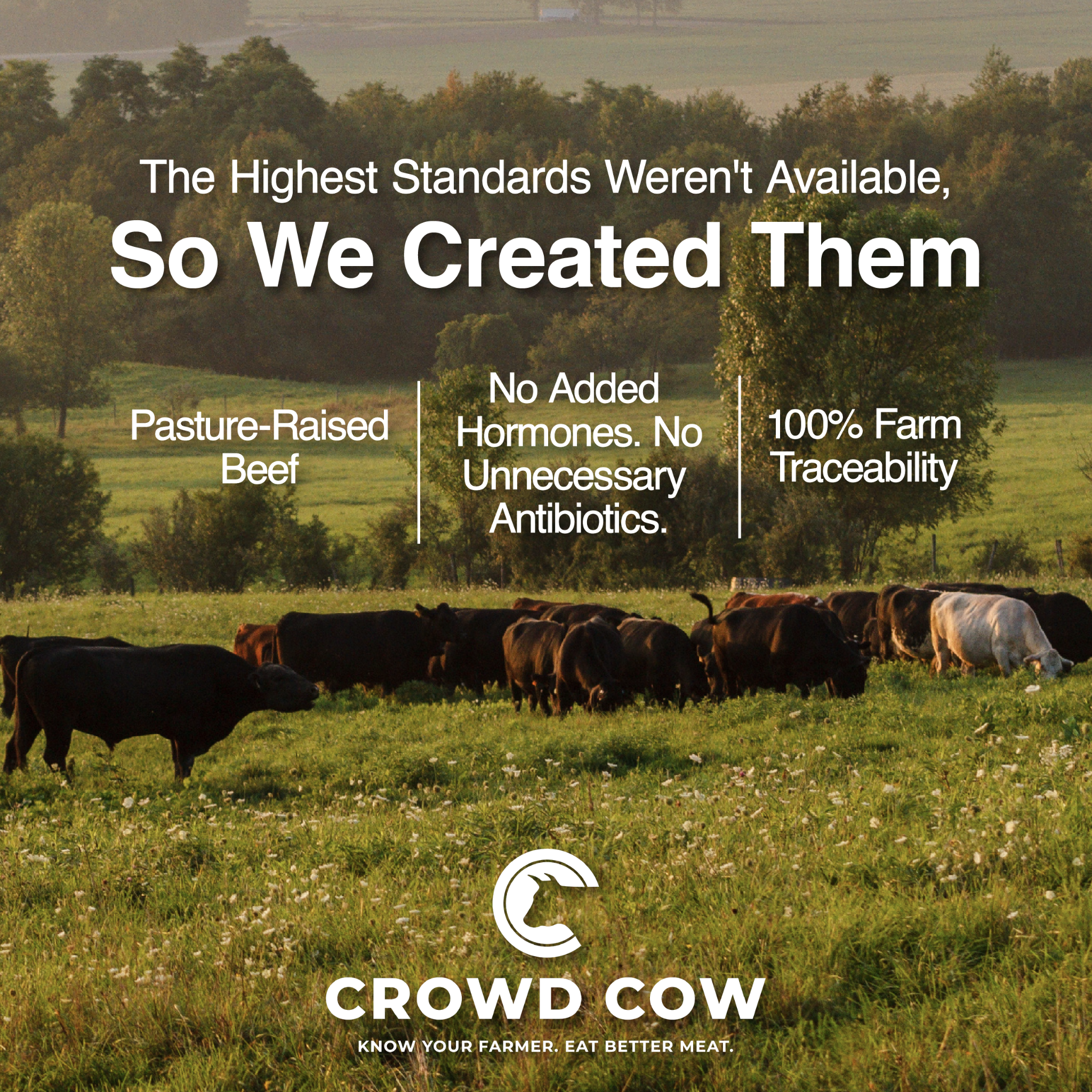 Crowd Cow Facebook ad