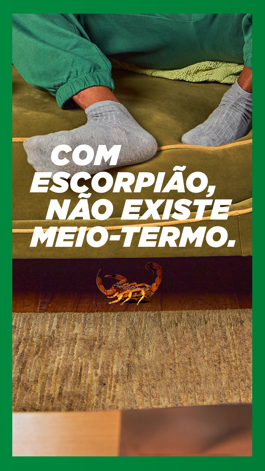 Baygon Facebook ad