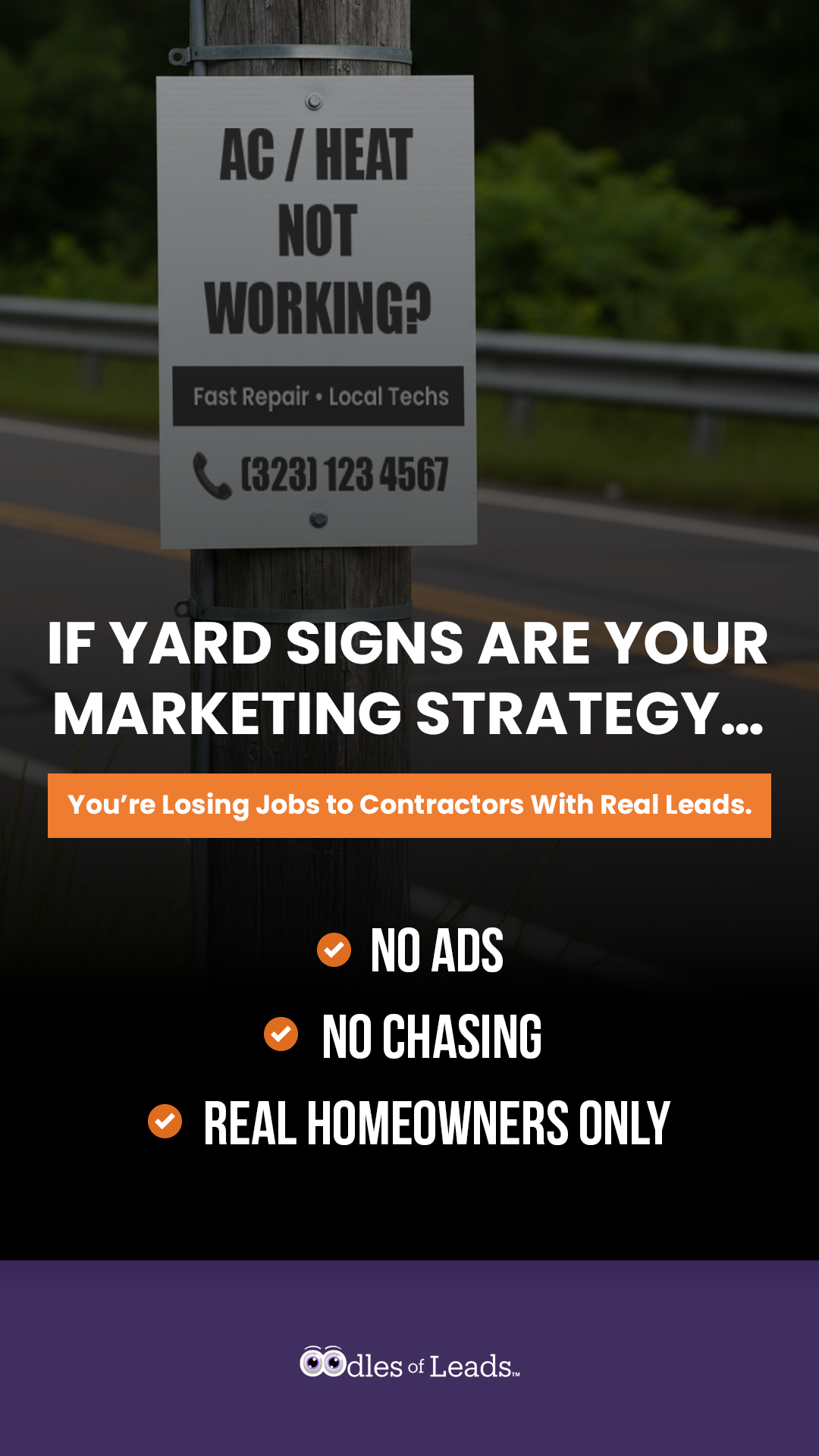 Oodles of Leads Facebook ad