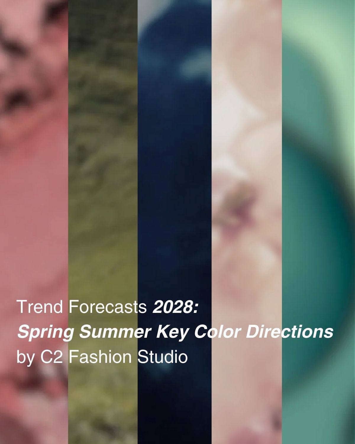 C2 Fashion Studio Facebook ad: 2028 Trend Forecasts: The Key Color Directions for…