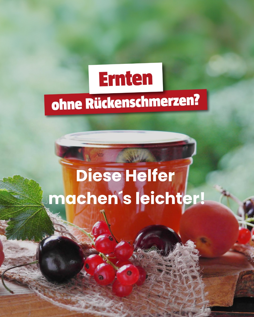 BAUHAUS Österreich Facebook ad